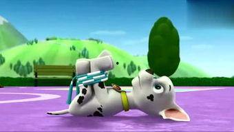 娱乐吃瓜君汪汪,揭秘娱乐圈那些不为人知的幕后故事